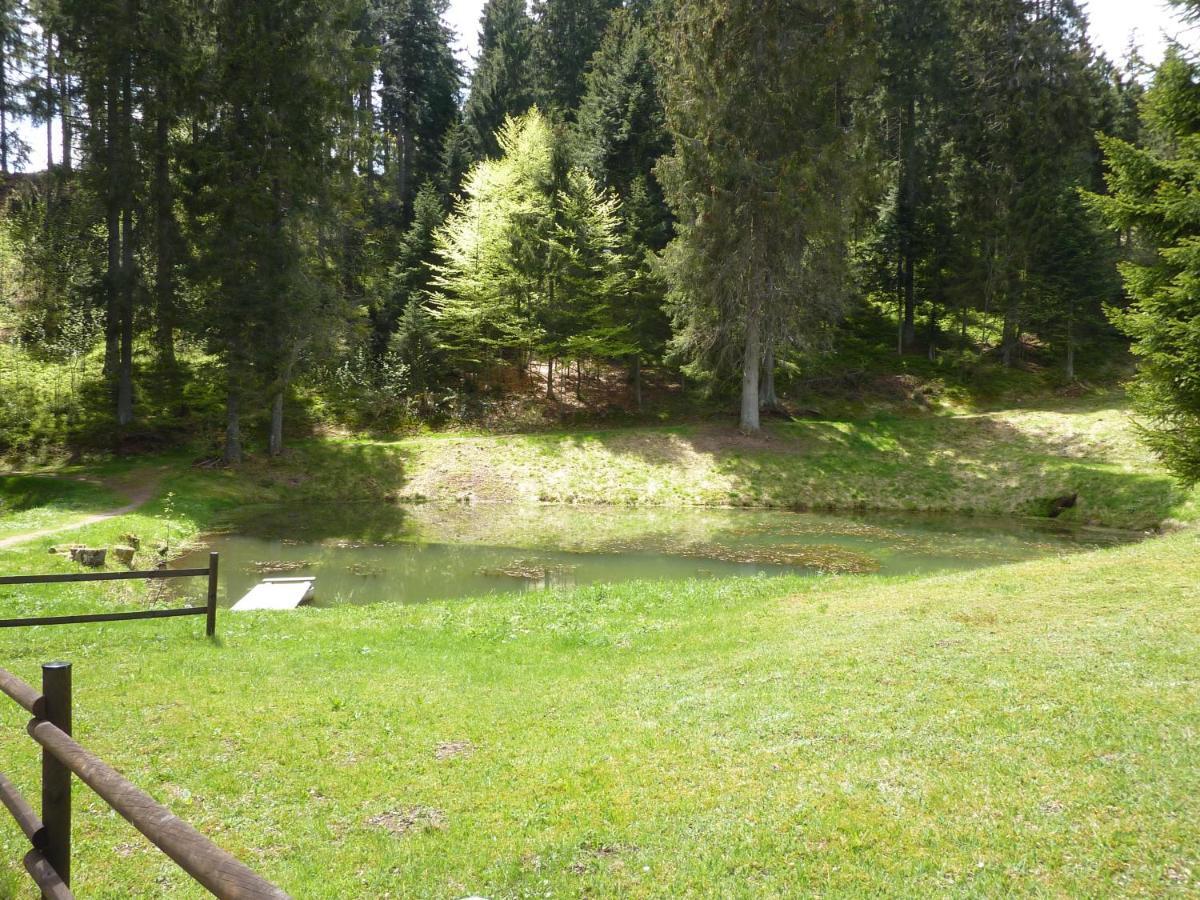 Appartment Leo Schönwalde Buitenkant foto